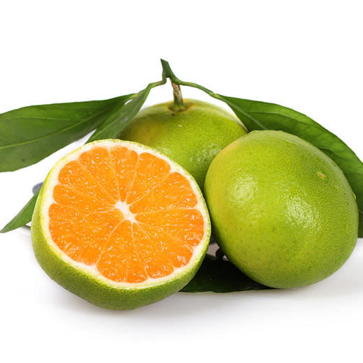 甜果源源 四川无籽蜜桔 商品图1