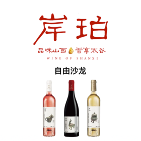 【2025.10.18 陕康门票 SKL Ticket】自由沙龙｜品味山西·晋享岸珀