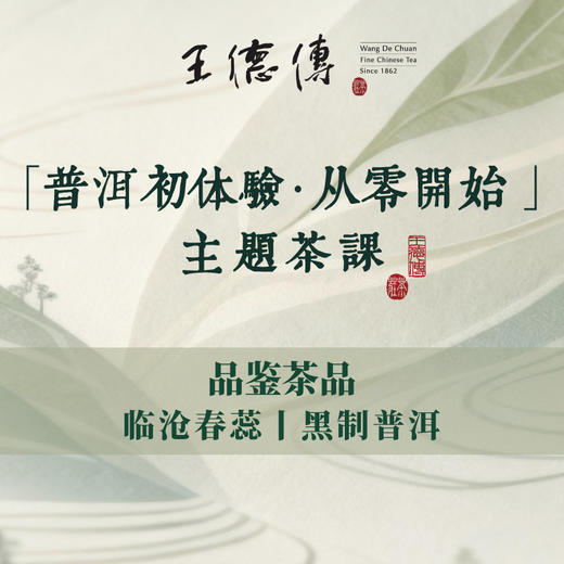 【普洱初体验 • 从零开始】主题茶课 商品图0