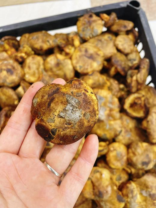 油蘑3斤 商品图0