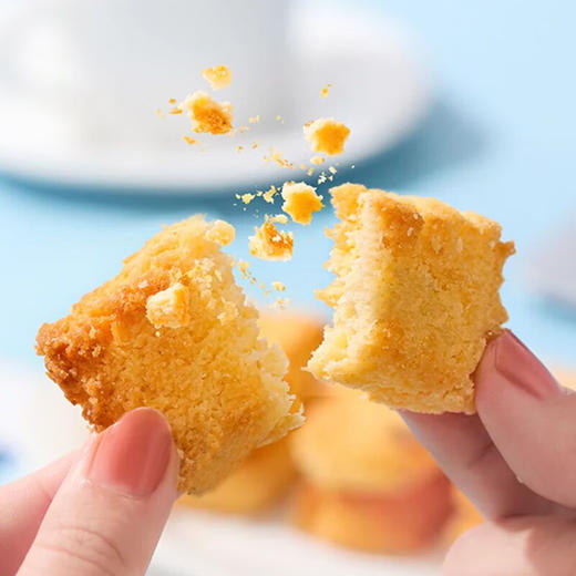 【两山优品】老介福椰子脆原味288g 商品图1