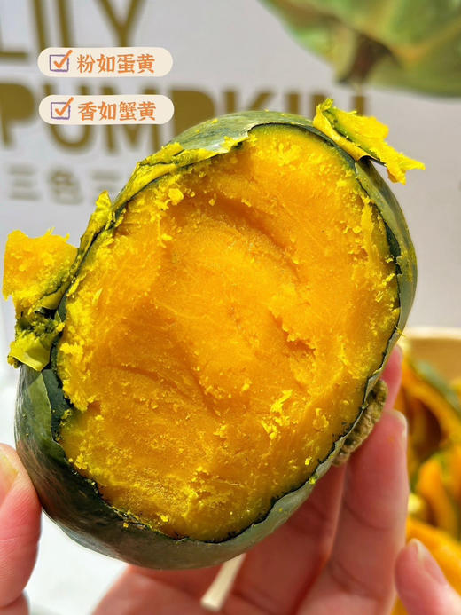 三色栗栗南瓜，三色三味 商品图0