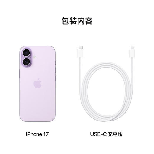 iPhone17 商品图4