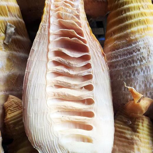 【两山优品】叶小农农家笋干300g 商品图2