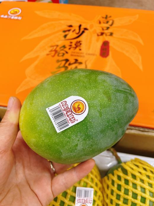 沙漠骆驼芒果一箱 商品图1