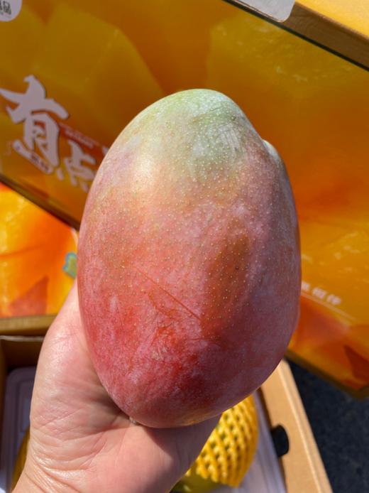 有点芒攀枝花芒果礼盒 商品图2