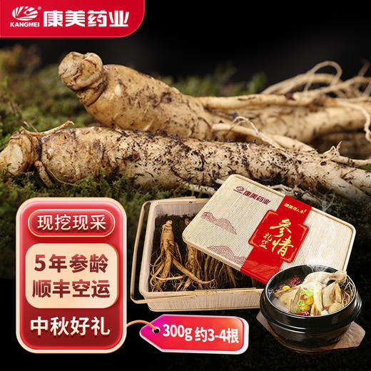 康美药业新开河新鲜人参 吉林新开河顺丰直邮 多规格人参茶饮煲汤送礼自用 商品图1