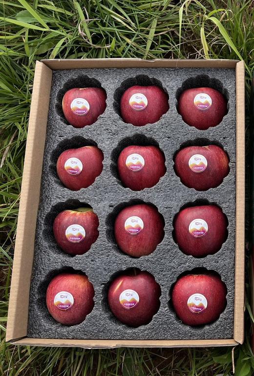 云南高原红露苹果 商品图1