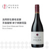 菲历士菲璐斯设拉子红葡萄酒Vasse Felix Margaret River Filius Shiraz 商品缩略图0