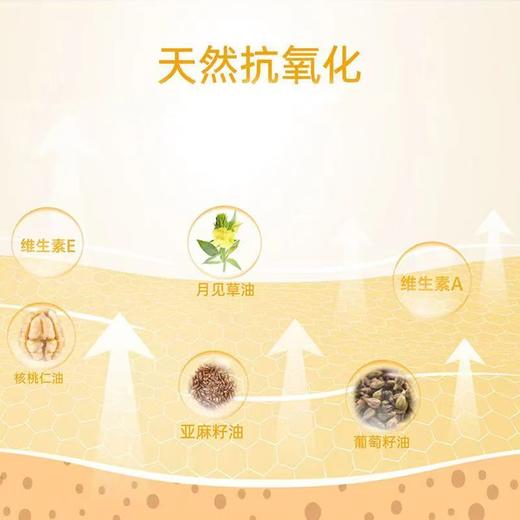 红狗 鱼油美毛膏120g狗狗猫咪宠物美毛亮毛补充营养 商品图2