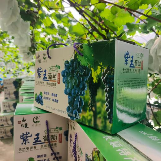 长顺四宝·紫王葡萄5斤(含箱)【GY】 商品图2