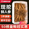 康美药业新开河新鲜人参 吉林新开河顺丰直邮 多规格人参茶饮煲汤送礼自用 商品缩略图3