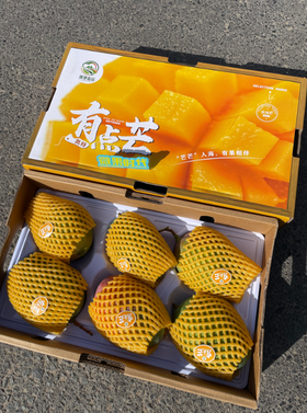 有点芒攀枝花芒果礼盒