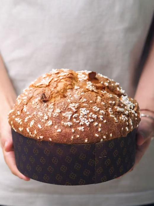 水式酵母潘娜托尼 商品图0