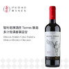 米高桃乐丝安第卡珍藏美乐干红葡萄酒Miguel Torres Chile Andica Merlot Reserva Organic 商品缩略图0