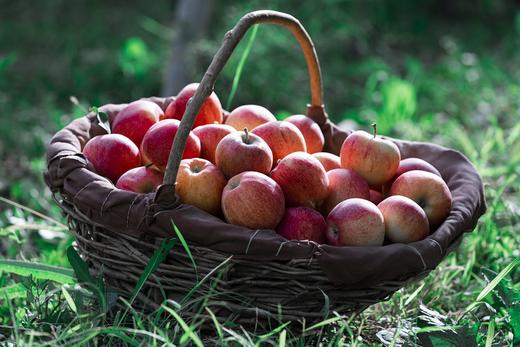 阿克苏早富士 商品图0