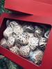 山珍菌礼盒 商品缩略图2