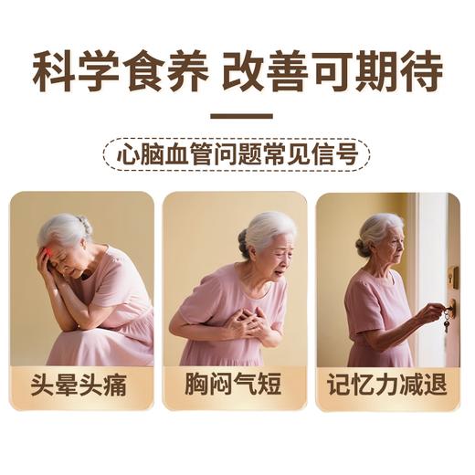 【两山优品】老介福黑桑葚黑芝麻丸100g 商品图2