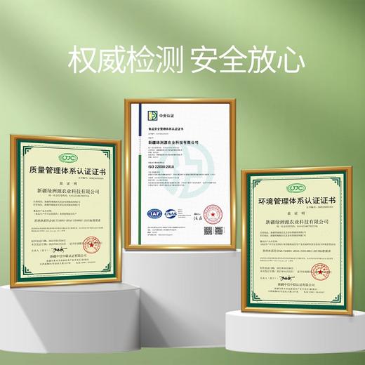 新疆塔城绿洲果实有机红花籽油 多规格压榨一级包邮 商品图3