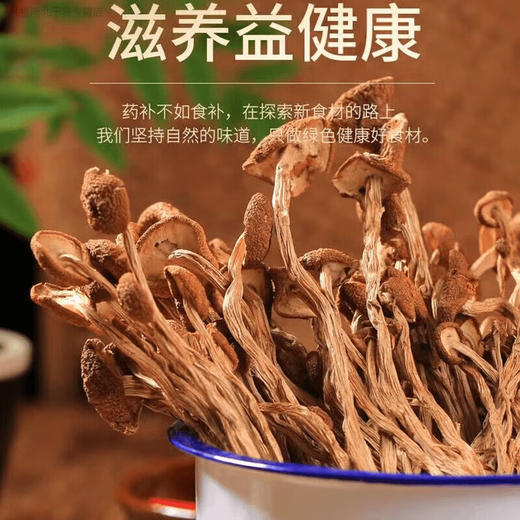 【两山优品】奁之味井冈茶树菇200g 商品图3