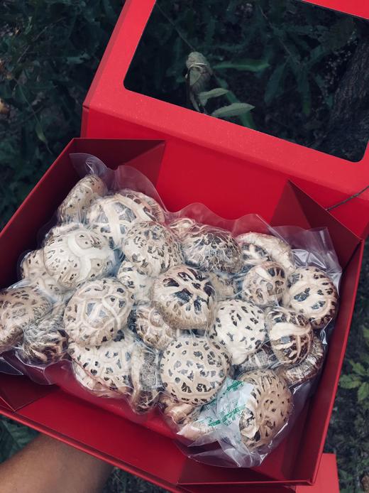 山珍菌礼盒 商品图3