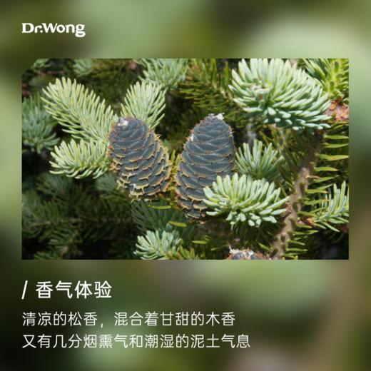 云杉 植物香薰精油 商品图1
