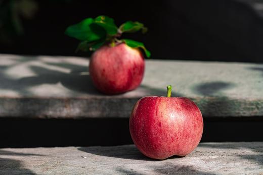 阿克苏早富士 商品图3