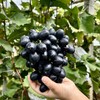 长顺四宝·紫王葡萄5斤(含箱)【GY】 商品缩略图7