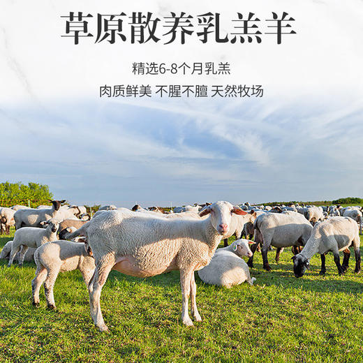 严选 | 大黄鲜森 半只羊10斤礼盒装 羊排块2.5斤+羊前腿2.5斤+羊后腿2斤+羊蝎子3斤 商品图1