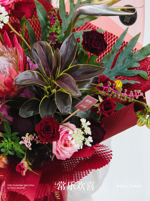 常乐欢喜 商品图2