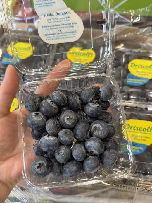 【纯甜】怡颗莓进口蓝莓,又脆又甜，蓝莓味也浓，爱眼护眼， 商品图0