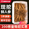 康美药业新开河新鲜人参 吉林新开河顺丰直邮 多规格人参茶饮煲汤送礼自用 商品缩略图4