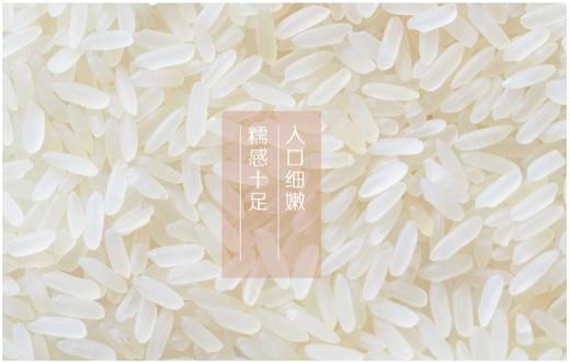 【严选】九八久洪湖忆口香再生稻香米4.75kg    （厂家直发） 商品图3