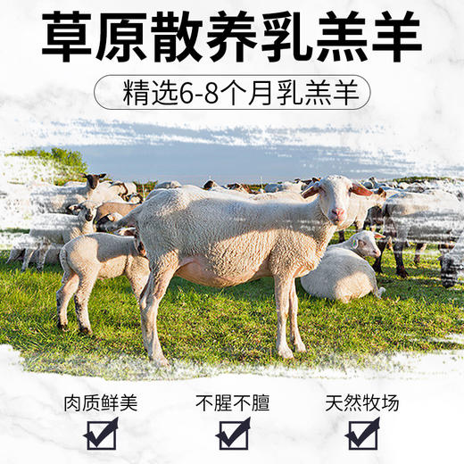 严选 | 大黄鲜森 半只羊10斤礼盒装 羊排块2.5斤+羊前腿2.5斤+羊后腿2斤+羊蝎子3斤 商品图2