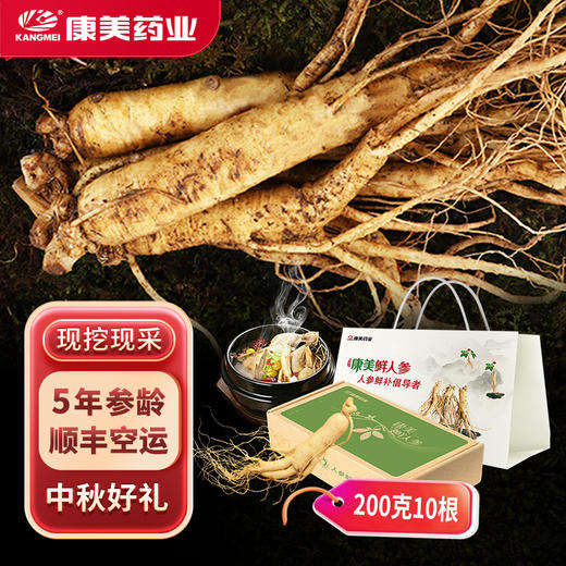 康美药业新开河新鲜人参 吉林新开河顺丰直邮 多规格人参茶饮煲汤送礼自用 商品图0