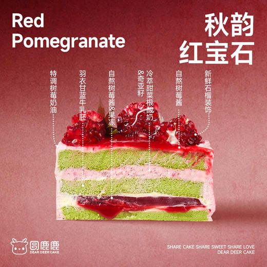 秋韵红宝石 商品图1