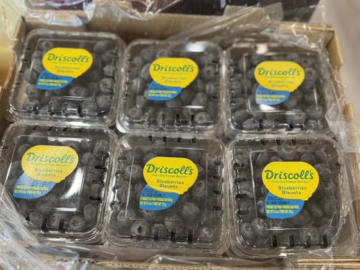 【纯甜】怡颗莓进口蓝莓,又脆又甜，蓝莓味也浓，爱眼护眼， 商品图1