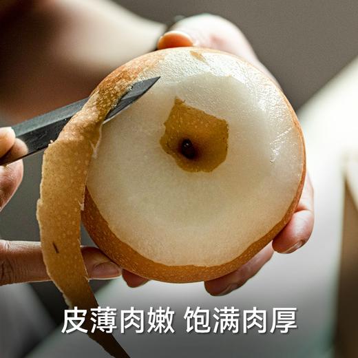 孔雀金枝 新疆 冰糖秋月梨 梨子 新疆梨 商品图0