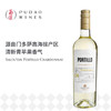 萨兰亭博迪优霞多丽白葡萄酒 Salentein Portillo Chardonnay 商品缩略图0