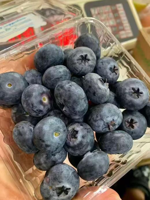 【纯甜】怡颗莓进口蓝莓,又脆又甜，蓝莓味也浓，爱眼护眼， 商品图3