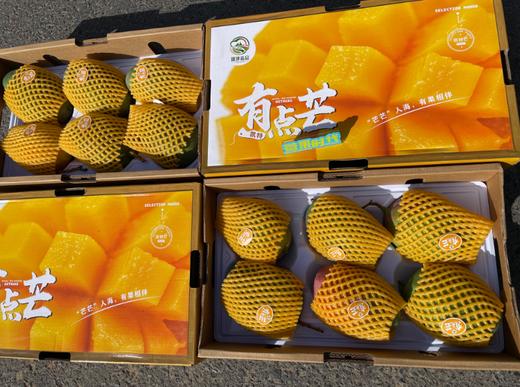 有点芒攀枝花芒果礼盒 商品图1