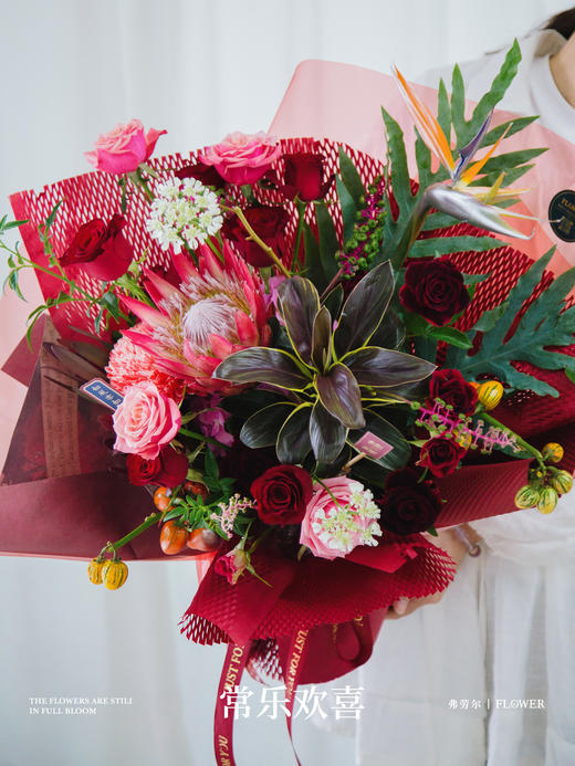 常乐欢喜 商品图3