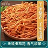 【两山优品】叶小农虫草花250g 商品缩略图2