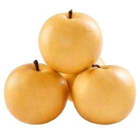 甜果源源 秋月梨