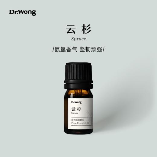 云杉 植物香薰精油 商品图0