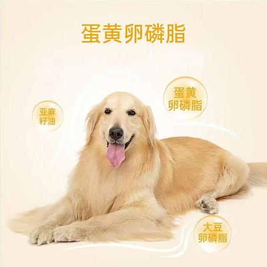 红狗 鱼油美毛膏120g狗狗猫咪宠物美毛亮毛补充营养 商品图3