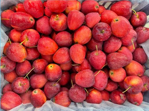 精品鸡心果2斤 商品图1