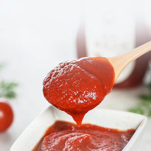 欣和禾然有机 番茄沙司  330g 商品图2