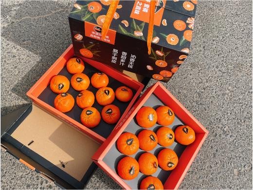 冰淇淋蜜桔礼盒 商品图3