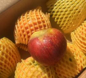云南邵阳红苹果（3.5-4斤）